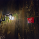 Illustration for article titled In An Artificial Cave 200' Beneath Central Park with Michael Bloomberg